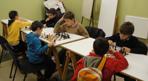 Torneos nivel inicial